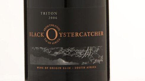 Black Oystercatcher Triton